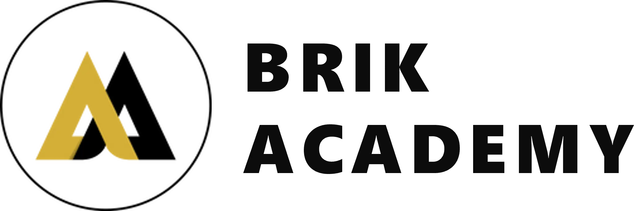 brik academy